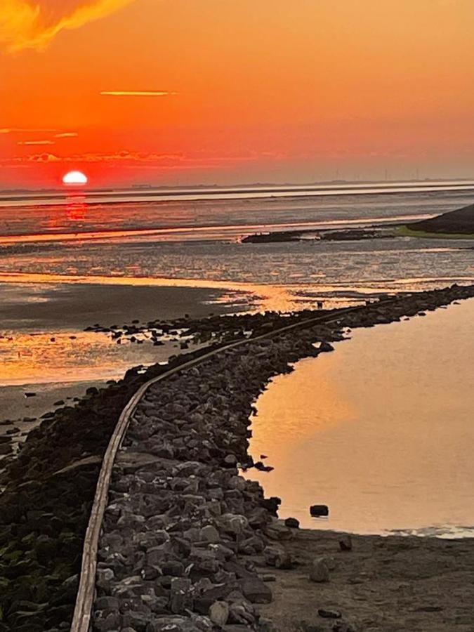 Oosterschelde Lodge Met Veel Privacy En Dicht Bij Het Water Scherpenisse Zewnętrze zdjęcie