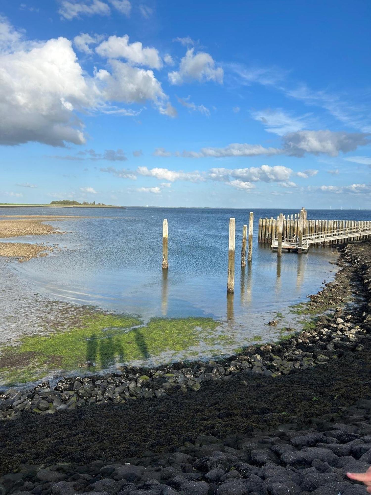 Oosterschelde Lodge Met Veel Privacy En Dicht Bij Het Water Scherpenisse Zewnętrze zdjęcie