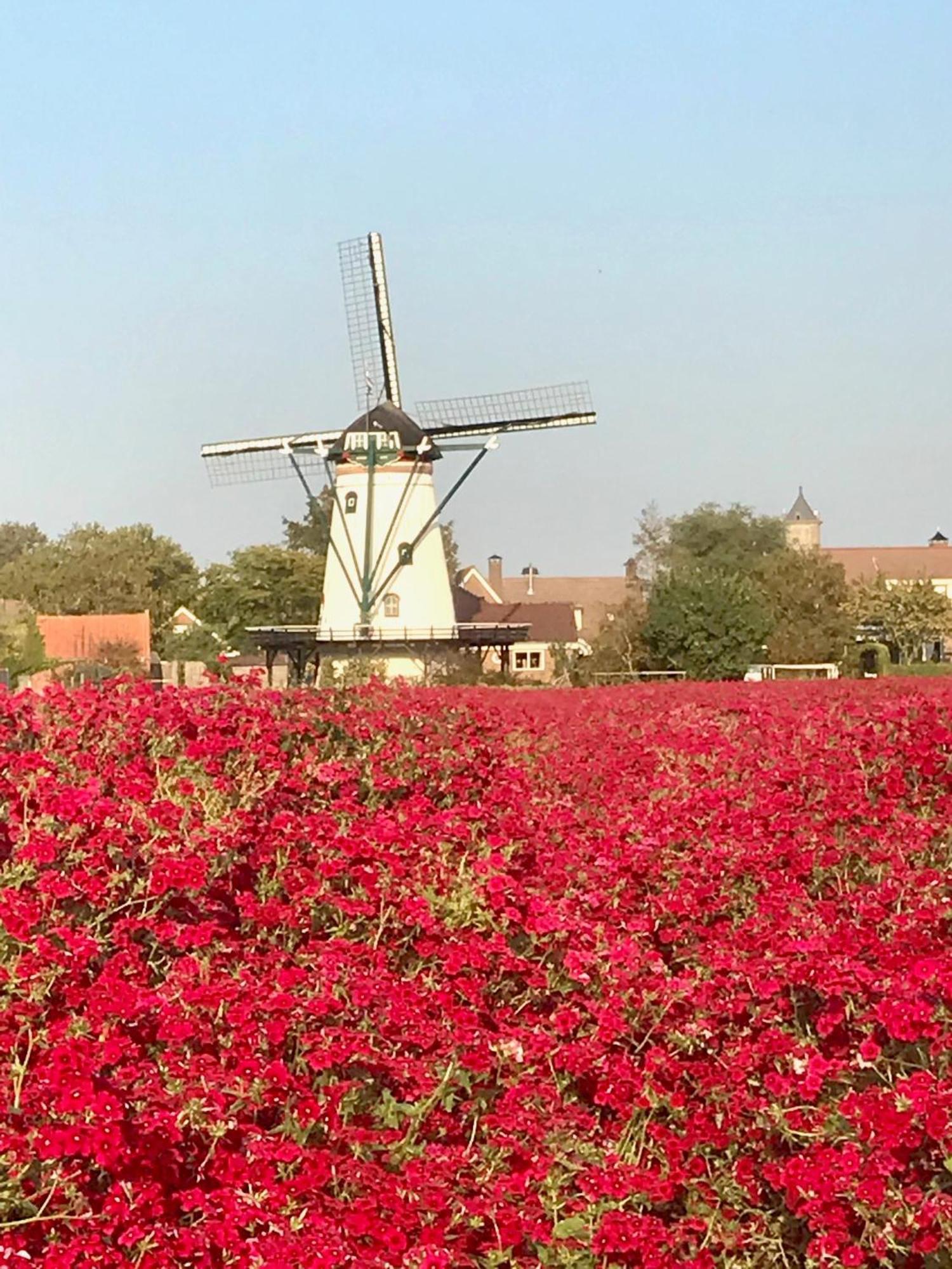 Oosterschelde Lodge Met Veel Privacy En Dicht Bij Het Water Scherpenisse Zewnętrze zdjęcie